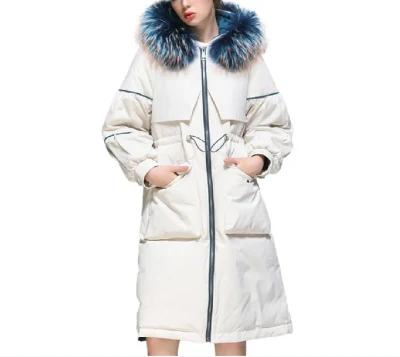 Blanc 2023 dames hiver capuche doudoune manteaux longues vestes en duvet pour femmes